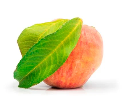Peach and leaf Stock Photos
