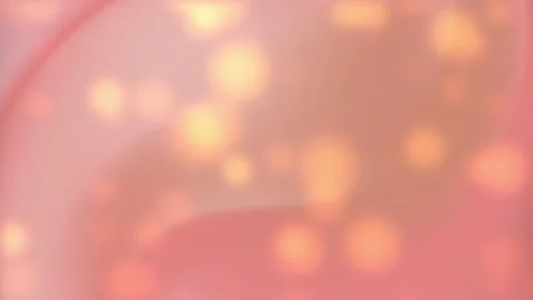 Peach background features blurred orange glowing circles. Stock Footage 315019377