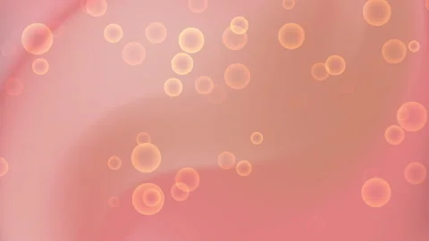 Peach background features numerous translucent light orange circles. Stock Footage 310795822