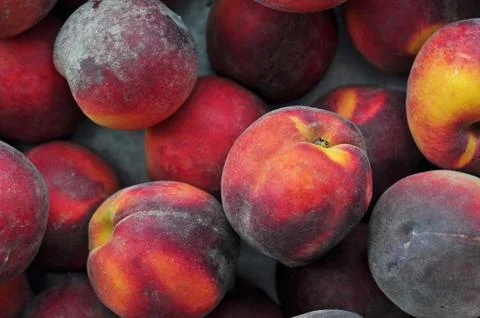 Peach background. Fotos Stock