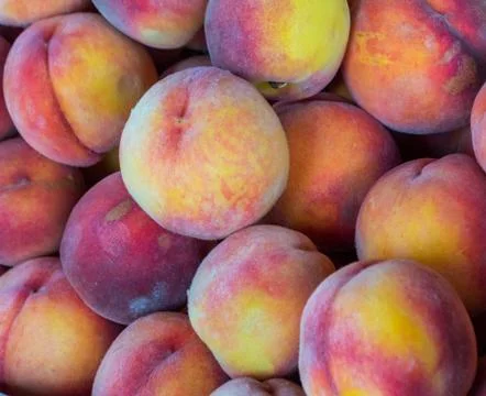 Peach background Stock Photos