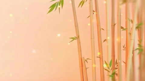Peach Bamboo: A Delicate Setting of Soft Bamboo Stalks Against a Peach-Hued Bac Stock Footage 318051524