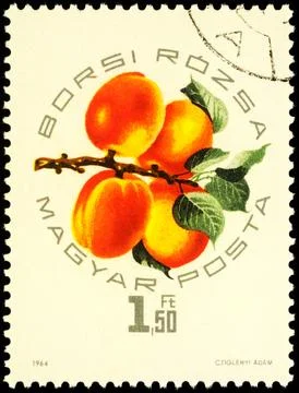 Peach Borsi Rozsa on postage stamp Stock Photos