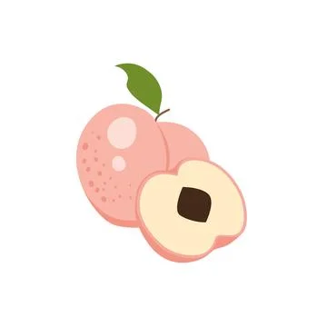 Peach cartoon vector. Doodle peach with leaves icon. Illustrazione stock