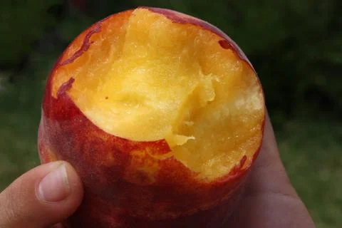 Peach close up Stock Photos