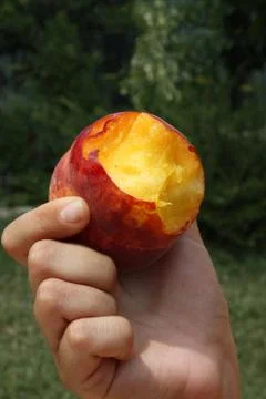 Peach close up Stock Photos