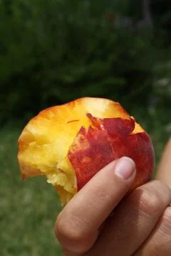 Peach close up Stock Photos