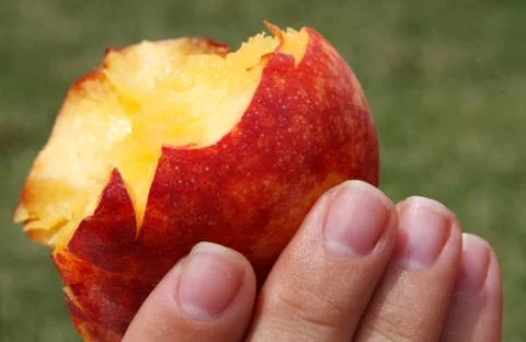 Peach close up Stock Photos