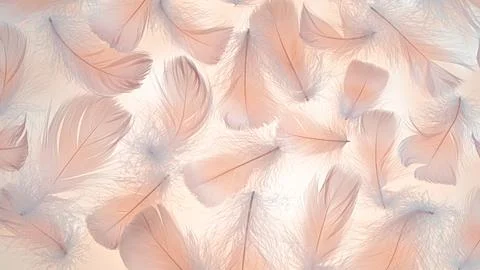 Peach colored fluffy feathers texture. Color of the year 2024 background Stock Photos