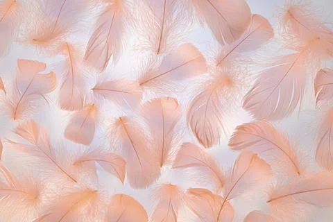 Peach colored fluffy feathers texture. Color of the year 2024 background Stock Photos