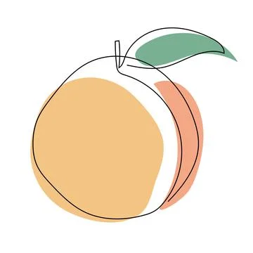 Peach. Continuous one line drawing. Stock Illustration
