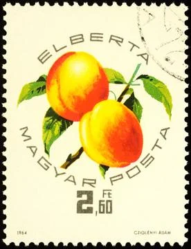 Peach Elberta on postage stamp Stock-Fotos