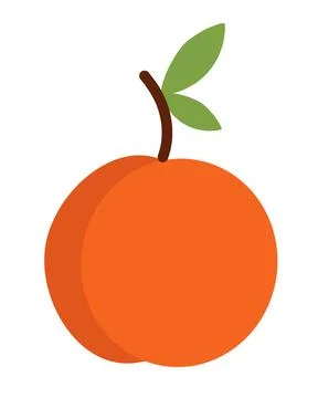 Peach Element. Summer fruit. Vector flat illustration. Stock Illustration