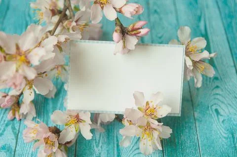 Peach flowers and empty card on wooden background Stock Photos