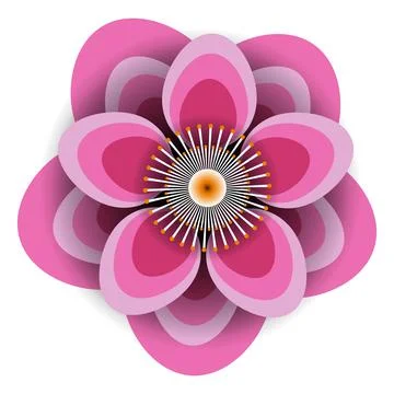 Peach flowers vector isolated on white Stock Illustration
