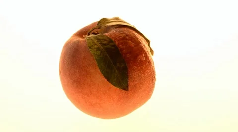 Peach Stock Footage 7130641