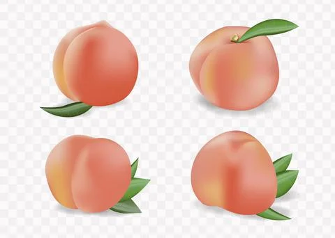 Peach Fruit element set. Isolated peaches collection of fruits, leaves, Illustrazione stock