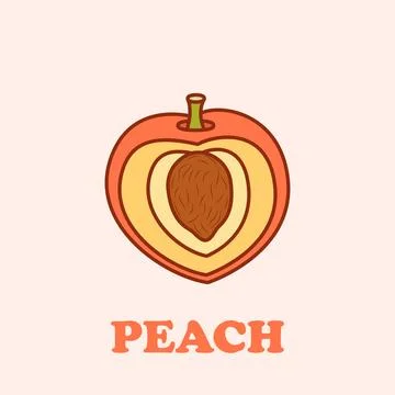 Peach fruit icon in flat style. Apricot vector illustration on isolated bac.. 스톡 일러스트