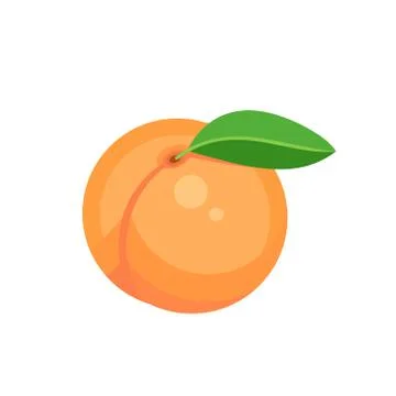 Peach fruit isolated on white background. Vector illustration. Stock Illustration