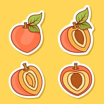 Peach fruit sticker icon set collection in flat style. Apricot vector illus.. 스톡 일러스트