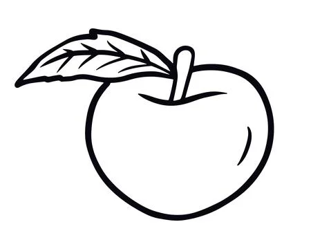 Peach fruit. Vector illustrations in hand drawn sketch doodle style Stock Illustration