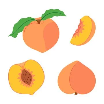 Peach fruit vector set with whole peaches half and slice 스톡 일러스트