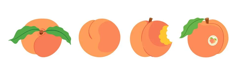 Peach fruit vector set with whole peaches and bitten fruit piece Stock Illustration