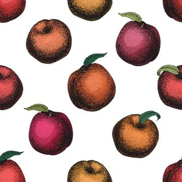 Peach fruit vintage vector seamless pattern. Botanical fruit. Engraved peach Stock Illustration