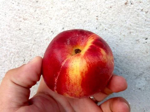 Peach in a hand - fruit Fotos Stock