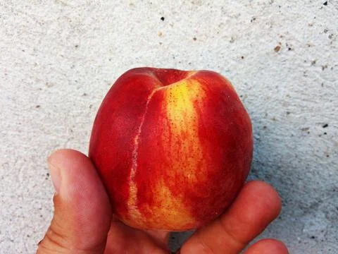 Peach in a hand - fruit Stockfoto's