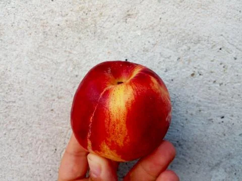 Peach in a hand - fruit 库存照片
