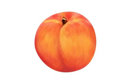 Peach Stock Illustration