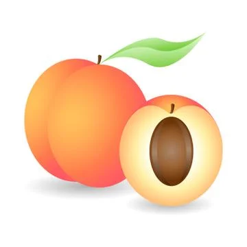 Peach Stock Illustration