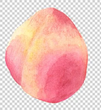Peach Stock Illustration