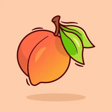 Peach Stock Illustration