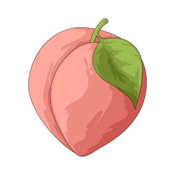 Peach illustration 库存插图