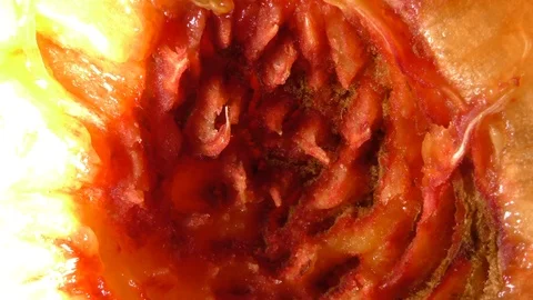 Peach inside 库存影片 115354041