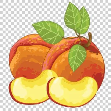 Peach Isolated, Vector. Illustrazione stock