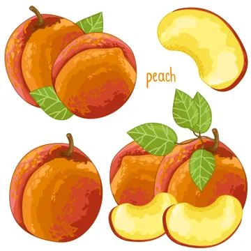 Peach Isolated, Vector. Stock Illustration