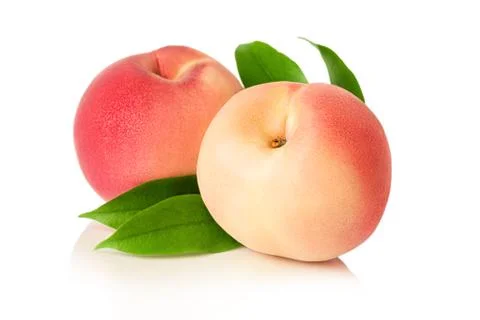 Peach isolated on white background Stock Photos