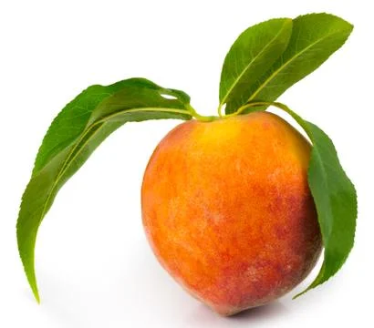 Peach with leaf isolated on white background with clipping path Stock Photos