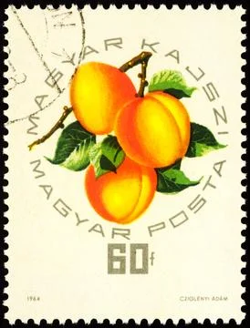 Peach Magyar Kajszi on postage stamp Stock Photos