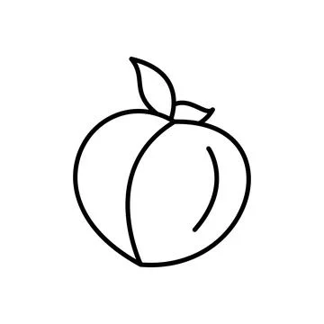 Peach nectarine fruit vector icon outline. EPS 10. Tropical fruits illustration Stock Illustration