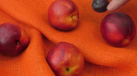 Peach nectarine isolated on orange background Video stock 65492167