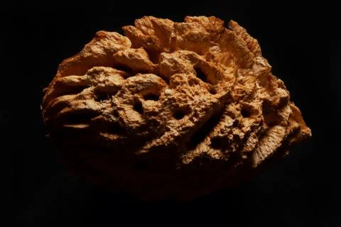 Peach nutshell Stock Photos