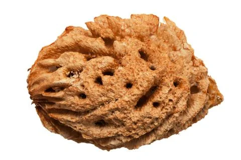 Peach nutshell Stock Photos