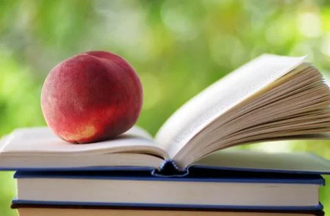 Peach on open book. Closeup Stock Photos