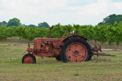 Peach orchard tractor Stock Photos
