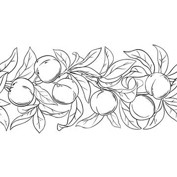 Peach Outline Horizontal Seamless Pattern. Stock Illustration