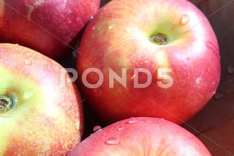 Peach Stock Photos
